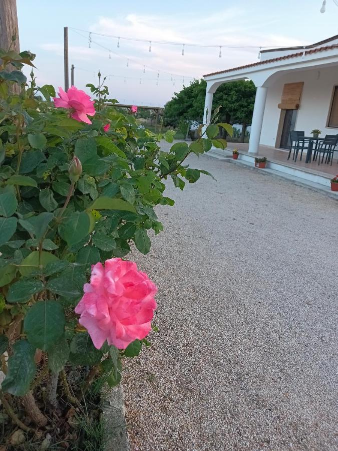 Casa Vacanze Salento: Villa Charlotte Torre Santa Susanna Exterior photo