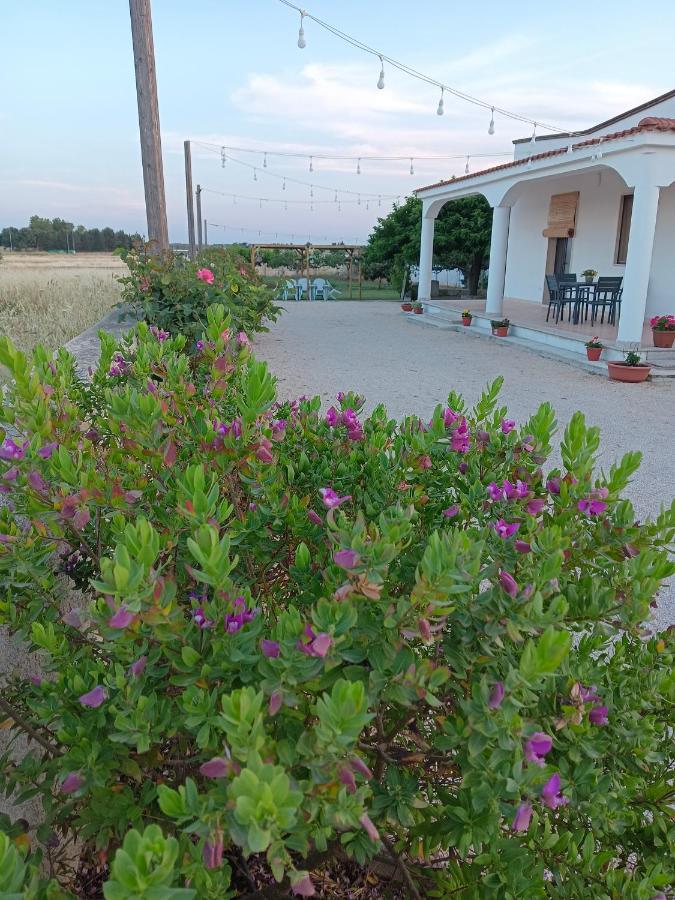 Casa Vacanze Salento: Villa Charlotte Torre Santa Susanna Exterior photo